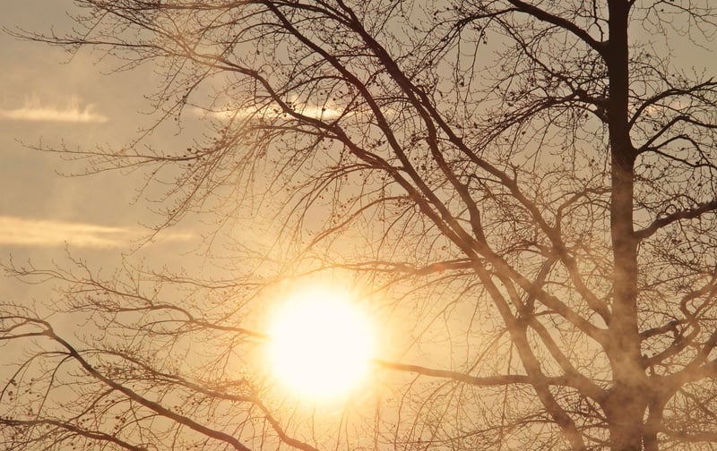 Magical Moment Sunrise